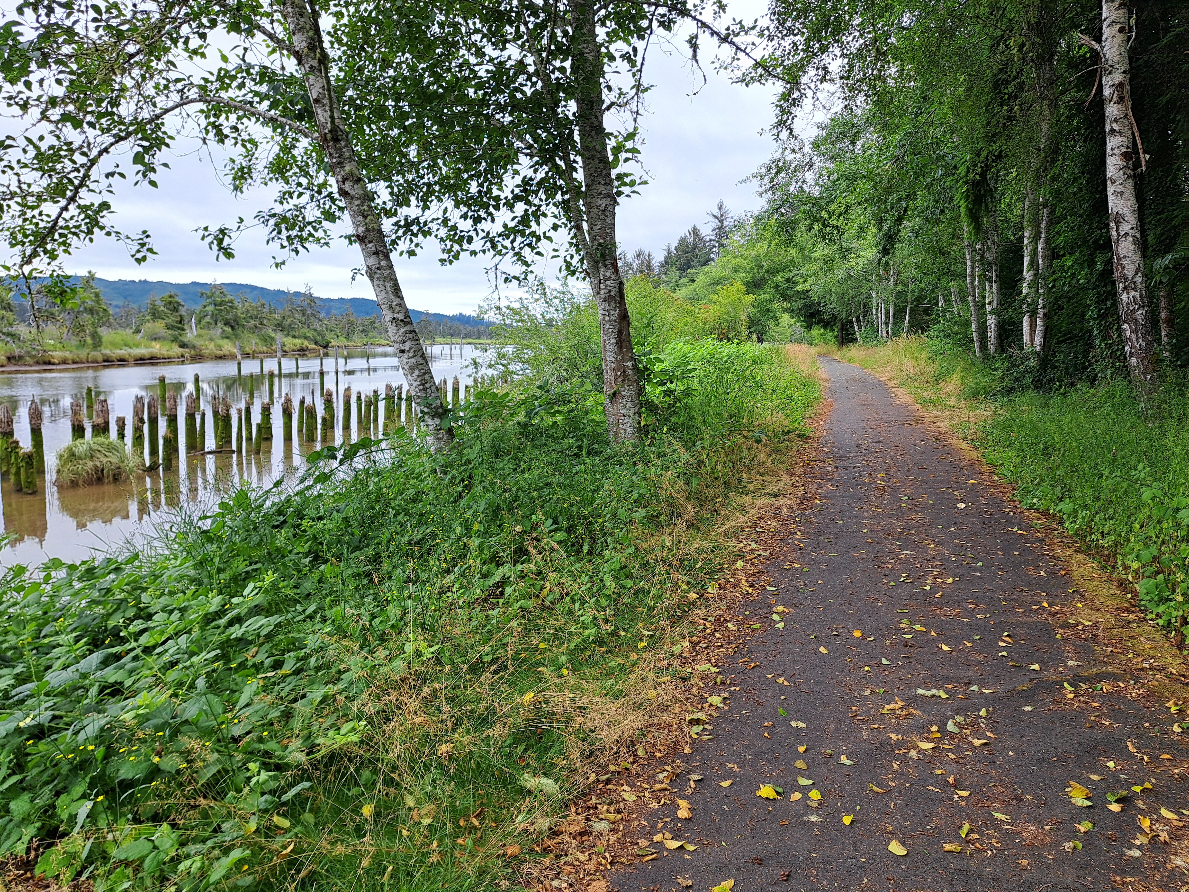 Waterside trail path